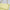 used-Chanel Medium Timeless Flap Bag in Pastel Butter Yellow-MILOURA