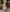 Which Designer Bag Goes With a Dirndl? Oktoberfest 2026