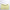 Spring/Summer 2026 – The Yellow Collection by Miloura