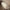 Louis Vuitton Alma BB Canvas Monogram Handbag