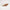 Christian Dior J 'Adior Beige Slingback Pump Size 38