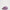 Chanel Purple CC in Love Heart Clutch in Lambskin 2022
