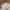 Louis Vuitton Monogram Neverfull MM Tote Bag 2020