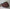Christian Dior Oblique Saddle Bag Burgundy 2019
