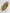 Chanel White Small Deauville Tote Calfskin 2020