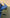 Hermes Birkin 25 handbag in Green Cyprès and Blue Zellige Officier Togo Leather 2018