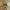 Chanel Raffia Camellia Small Tote Bag Beige