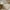 Chanel Contrast Bowler Handbag Beige