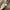 Chanel Contrast Bowler Handbag Beige