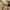 Bottega Veneta Shoulder Brown Pouche