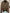 Gucci Brown GG Jacquard Wool Knit Bomber Jacket Size S