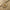 Chanel Vintage Beige Single Flap Bag Caviar Leather