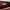 Louis Vuitton Burgundy Vernis Monogram Alma PM