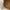 Chanel Beige Vintage Medium Classic Flap Lambskin 1996-1997