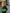 Chanel Le Boy Medium Green Lambskin Bag