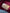 Louis Vuitton Takashi Murakami Monogram Courtney GM – limitierte Edition
