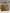 Hermes Vintage Kelly 32 Courchevel Leather Gold 1978