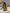 Chanel Vintage Small Classic Flap Beige Lambskin 1991