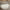 Louis Vuitton Neverfull MM Monogram Tote Tasche 2017