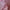 Chanel Medium Boy Flap Chevron Raffia & Leather Pink 2018