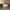 Chanel Vintage Beige Tow Tone Lambskin Mini Square Flap Bag 1991