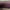 Chanel Mini Square Classic Flap Bag Lambskin Burgundy 2017