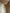 Chanel Medium Classic Double Flap Bag Caviar Beige 2011