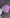 Chanel Purple CC in Love Heart Clutch in Lambskin 2022